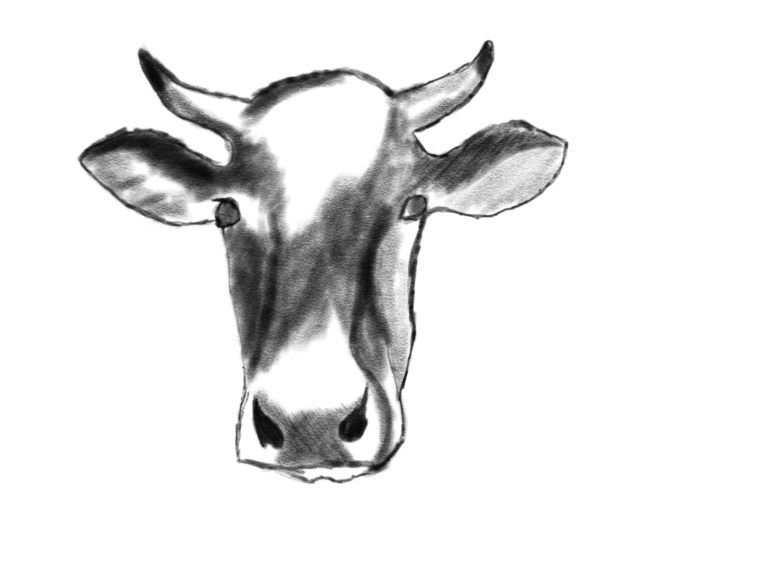Vergiftet durch Milch?